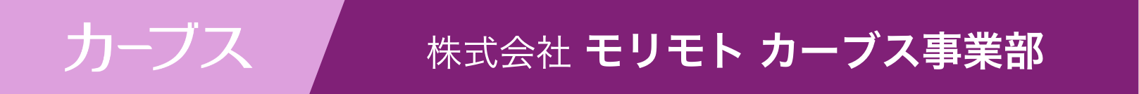 カーブステキスト帯